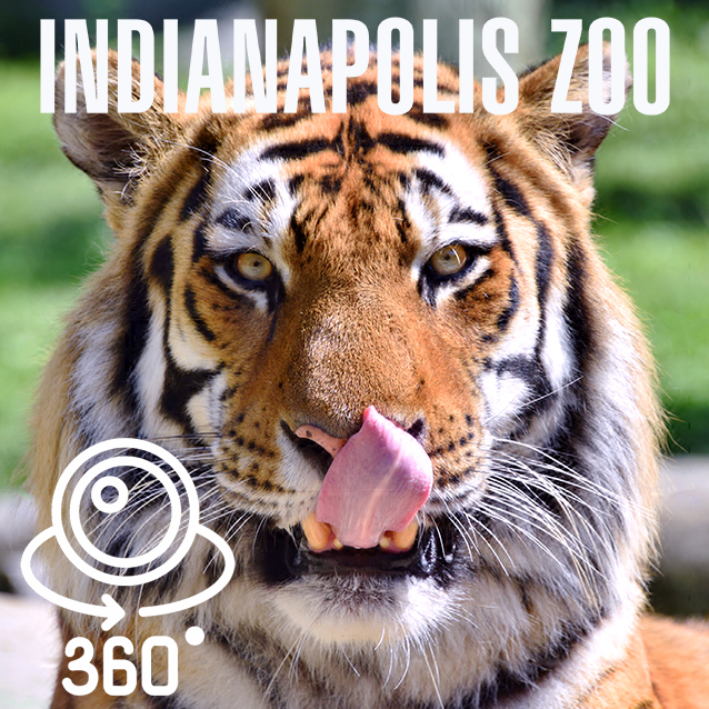 Indianapolis Zoo 360º videos